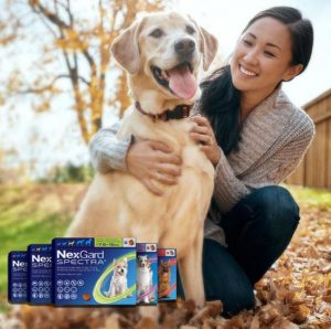 nexgard